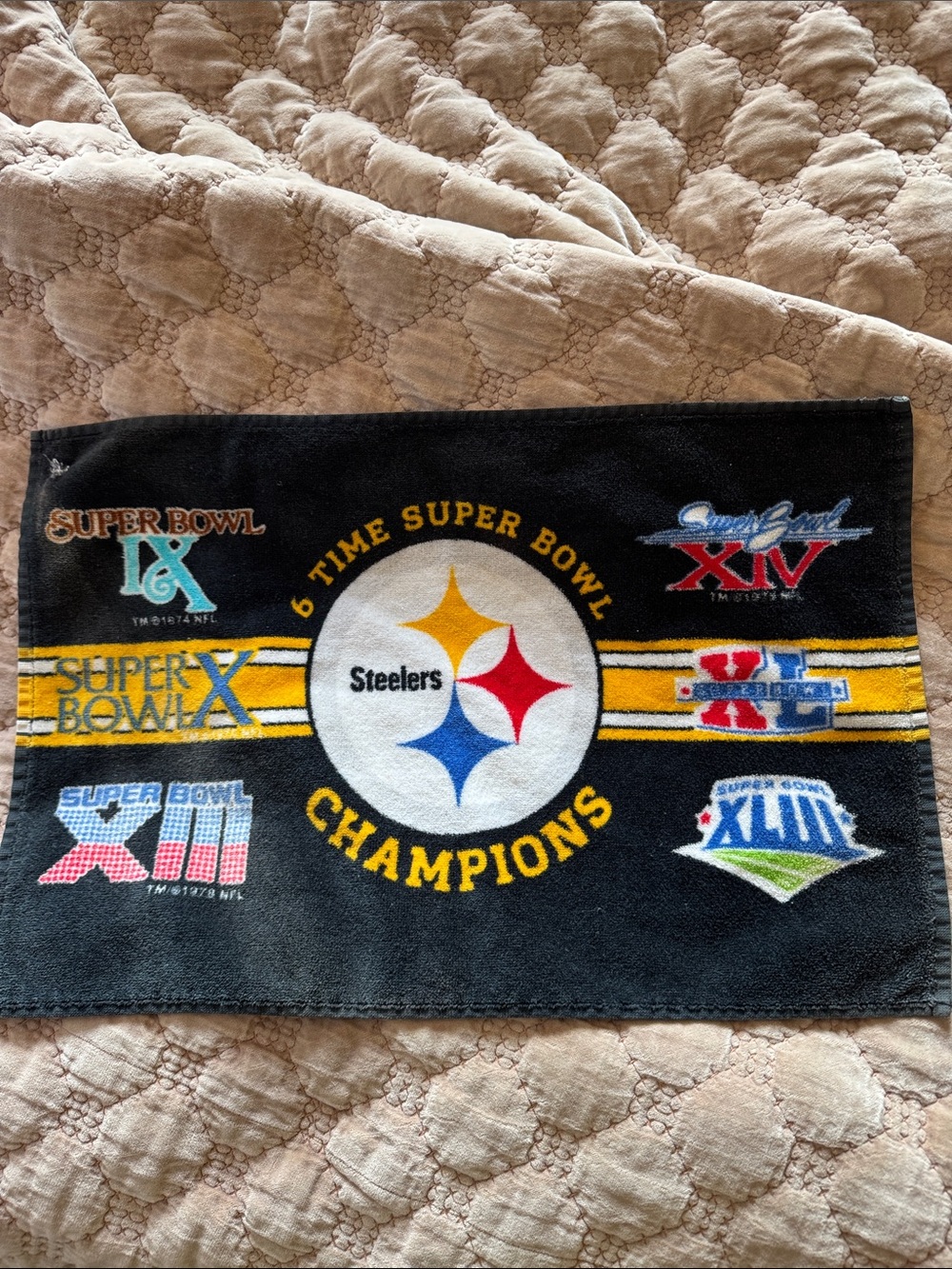 Pittsburgh Steelers 6-Time Super Bowl Champions Rug - Black & Gold